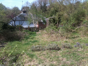 <p>Garden before makeover<br></p>