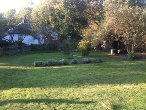 <p>Garden after makeover<br></p>